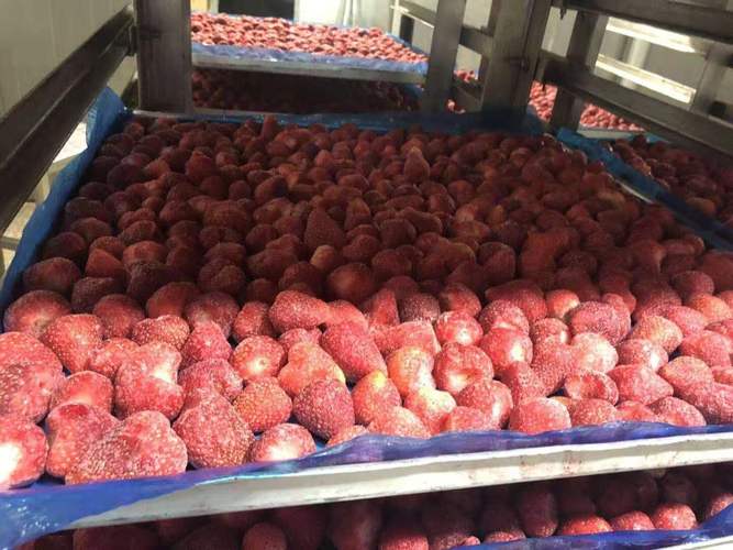 工厂直供冻干草莓脆fd脱水各种果蔬水果干批发散装草莓干