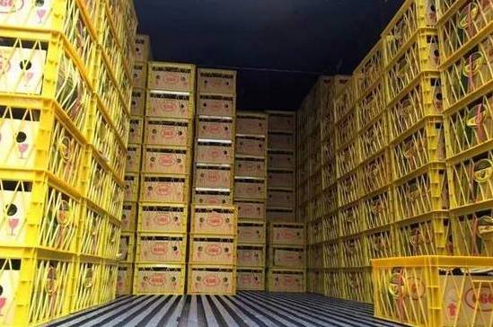 【头条】河西出大事了: 800平水果仓储工厂店公然挑战价格极限!