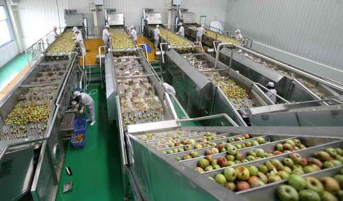  供应产品 03 河南新鲜果品加工技术 果品加工制作过程 新乡